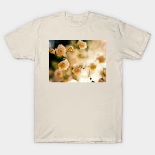 Dreamy T-Shirt